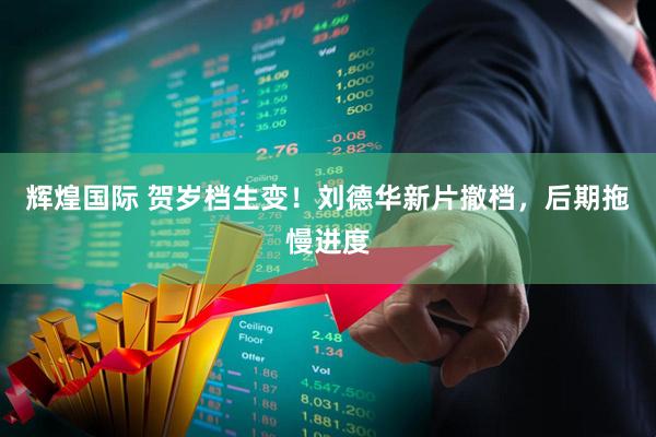 辉煌国际 贺岁档生变！刘德华新片撤档，后期拖慢进度