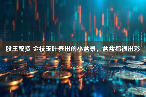 股王配资 金枝玉叶养出的小盆景，盆盆都很出彩